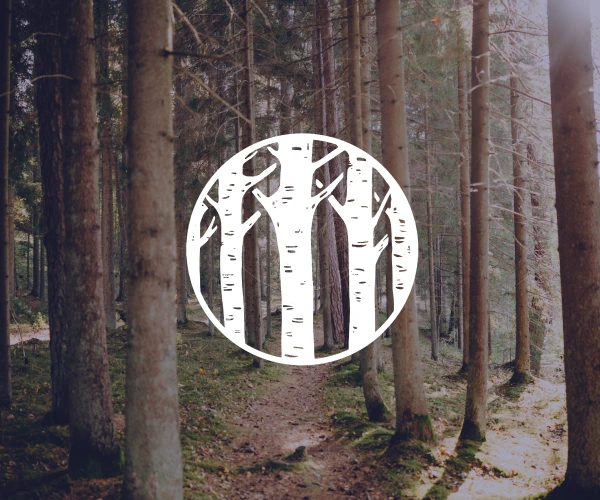 Birch collective