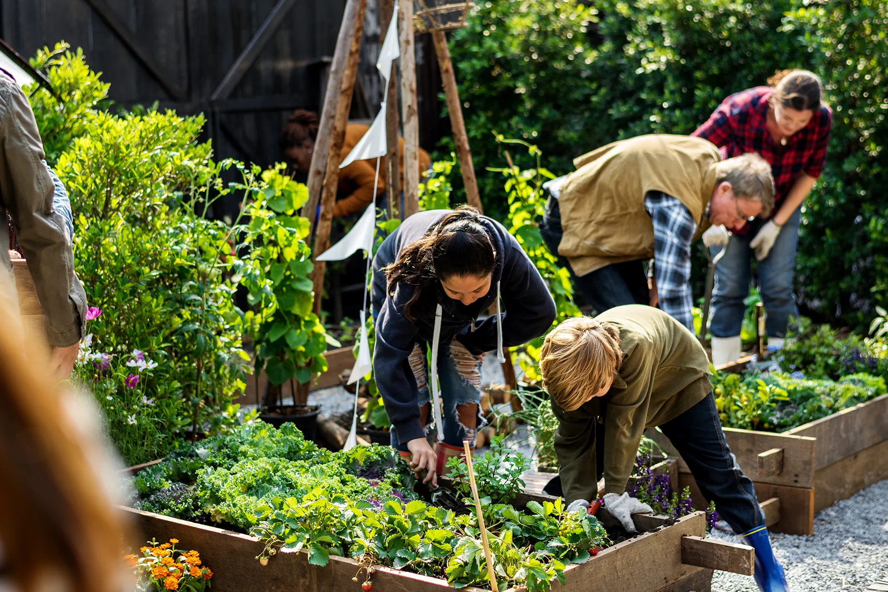 People gardening in a school for charity