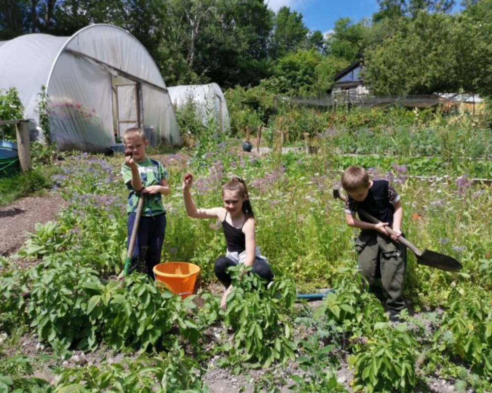 Charity Partner Moulscoombe Forest Garden Profile